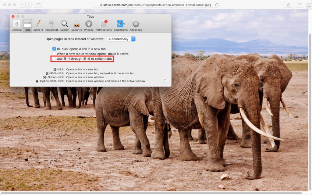 swap control and command keys mac