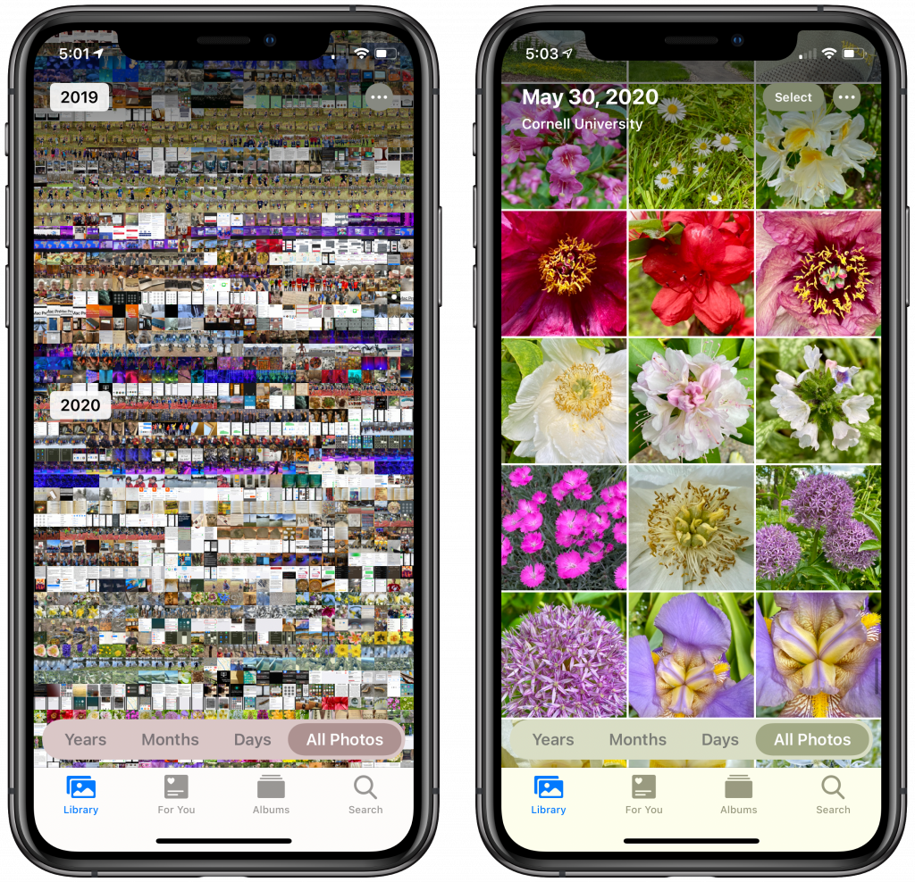Pinch to Zoom in All Photos View in iOS 14