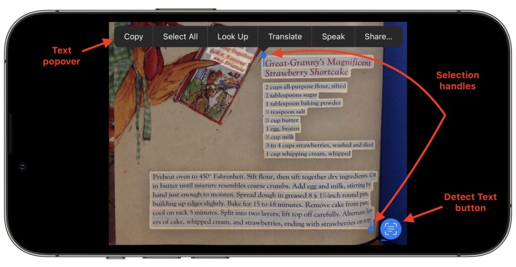 Live Text Digitizes Text in Photos in iOS 15, iPadOS 15, and macOS 12 Monterey
