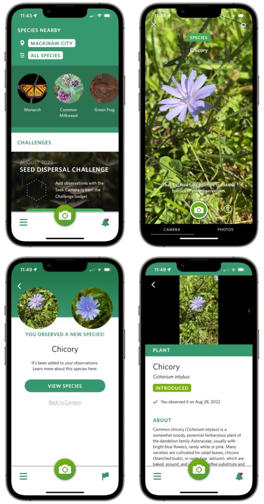 Use Your iPhone to Identify Plants, Wildlife, and Birds with Seek and Merlin
