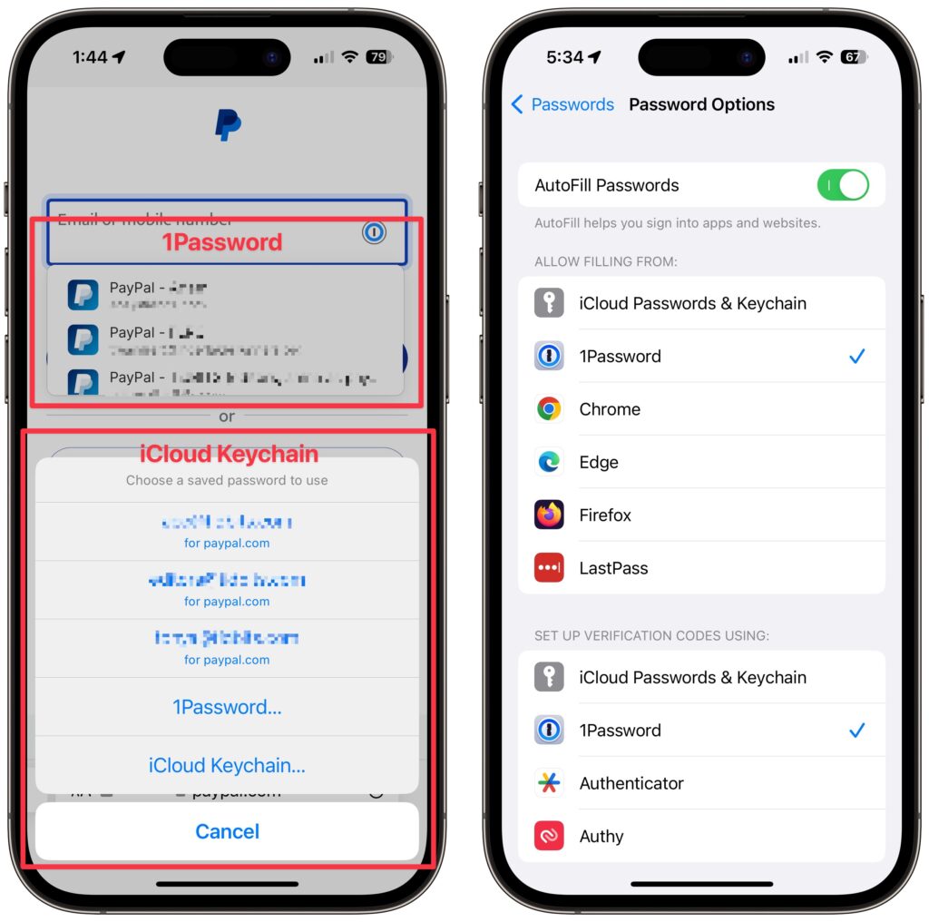 Avoid Confusion by Setting iPhone Password Autofill to Only One App